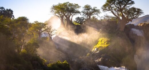 Nebliger Sonnenaufgang am Kunene Fluß 2021 | Erlebnisrundreisen.de