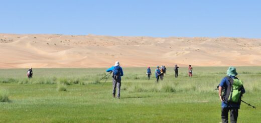Wanderung zum Dünenfeld Mongol Els 2021 | Erlebnisrundreisen.de