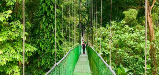 Rundreise Costa Rica 2025 | Erlebnisrundreisen.de