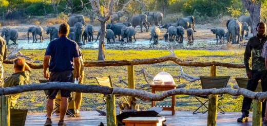Rundreise Botswana, Simbabwe und Namibia 2025 / 2026 | Erlebnisrundreisen.de
