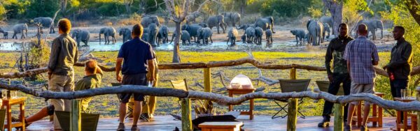 Rundreise Botswana, Simbabwe und Namibia2025 / 2026 | Erlebnisrundreisen.de