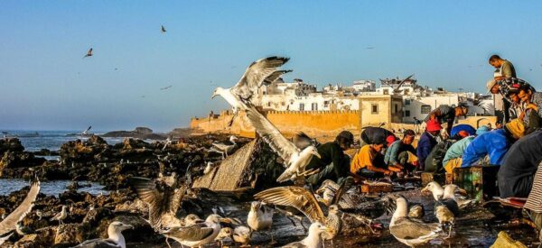 Fischer bei Essaouira