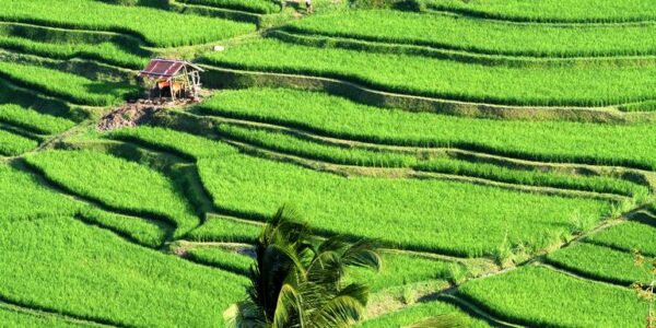 Indonesien Erlebnisreise | Tinta Tours Erlebnisreisen