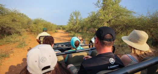 Südafrika Gruppenreise | Tinta Tours Erlebnisreisen