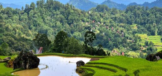 Indonesien Gruppenreise | Tinta Tours Erlebnisreisen