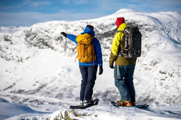 Ausblick auf Norwegens Fjells - SCANOUT.COM