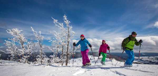 Mit Schneeschuhen auf den Feldberg - Baschi Bender - Baschi Bender / Hochschwarzwald Tourismus