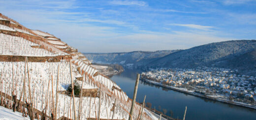 Blick auf die Mosel - Victoria Mölich-RLP Tourismus GmbH - © Victoria Mölich / Rheinland-Pfalz Tourismus GmbH