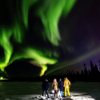 Für echte Abenteurer: winterliche Outdoor-Woche in Norwegens arktischem Norden Young Traveller ab 35J.