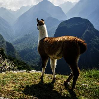 Peru gefuehrte Rundreisen 2025 | Tinta Tours Erlebnisreisen