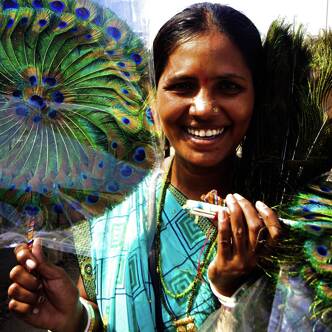 Rajasthan deutschsprachig gefuehrte Gruppenreise 2025 | Tinta Tours Erlebnisreisen