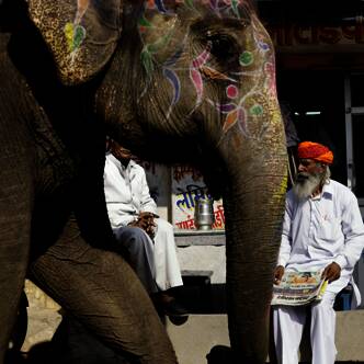 Rajasthan-Rundreise-2025-3