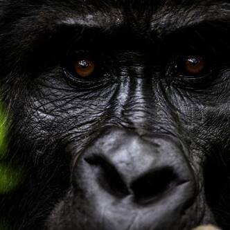Uganda deutschsprachig gefuehrte Gruppenreise 2025 | Tinta Tours Erlebnisreisen