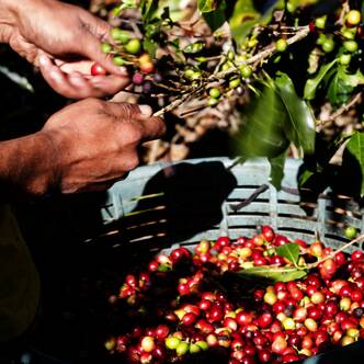 Costa Rica gefuehrte Rundreisen 2025 | Tinta Tours Erlebnisreisen