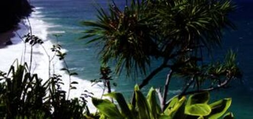 Reiseroute Hawaii – Trauminseln im Pazifik 2026  | Tinta Tours Erlebnisreisen