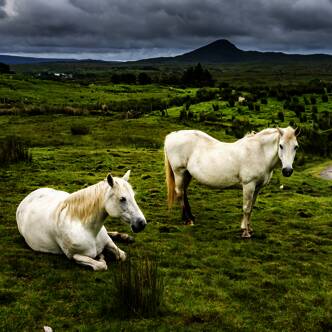 Irland-Rundreise-2025-3