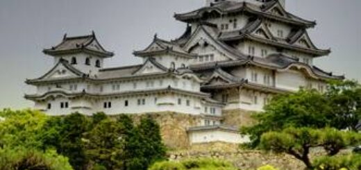 Japan deutschsprachig gefuehrte Studienreisen 2025  | Tinta Tours Erlebnisreisen