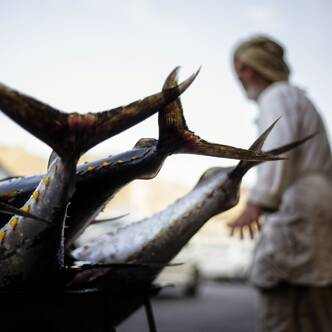 Oman gefuehrte Rundreisen 2025 | Tinta Tours Erlebnisreisen