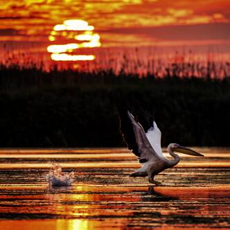 Rumaenien-–-Donaudelta-Rundreise-2025-3