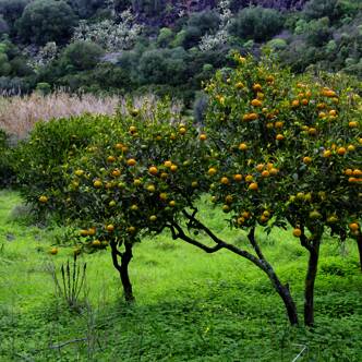 Sardinien-Rundreise-2025-3