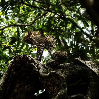 Sri Lanka deutschsprachig gefuehrte Gruppenreise 2025 | Tinta Tours Erlebnisreisen