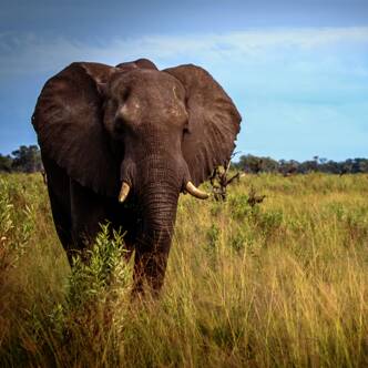 Südafrika deutschsprachig gefuehrte Gruppenreise 2025 | Tinta Tours Erlebnisreisen