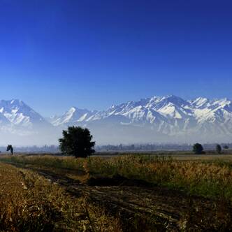 Usbekistan – Kirgisistan deutschsprachig gefuehrte Studienreisen 2026  | Tinta Tours Erlebnisreisen