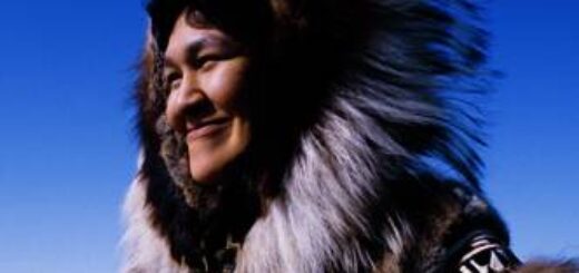Reiseroute Yukon – Alaska – die umfassende Reise 2025  | Tinta Tours Erlebnisreisen