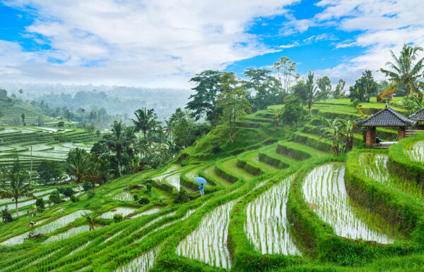 Gruppenreise Indonesien 2025 / 2026 - Tinta Tours Erlebnisreisen