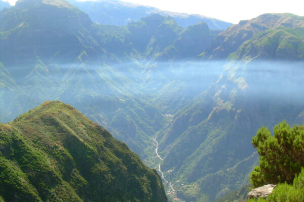 Blumeninsel Madeira Erlebnisreise - 2025 / 2026 | Tinta Tours Erlebnisreisen