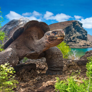 15-Tage-Erlebnisreise Ecuador 2025/ 2026 | Erlebnisrundreisen.de