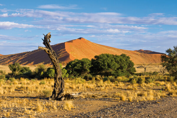 Entdeckungsreise Namibia Erlebnisreise - 2025 / 2026 | Tinta Tours Erlebnisreisen