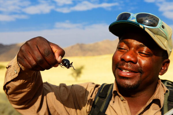 Faszination Namibia Erlebnisreise - 2025 / 2026 | Tinta Tours Erlebnisreisen
