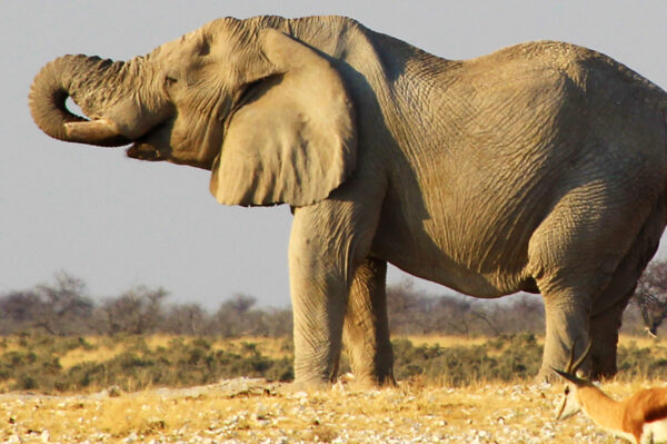 Erlebnisreise-Faszination-Namibia-4