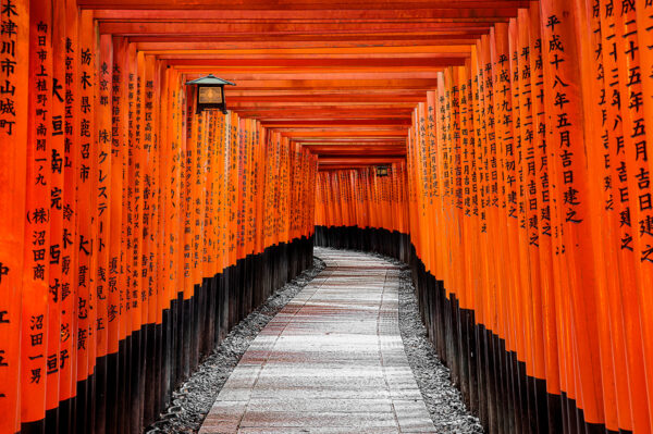 Gruppenreise Japan 2025 / 2026 - Tinta Tours Erlebnisreisen