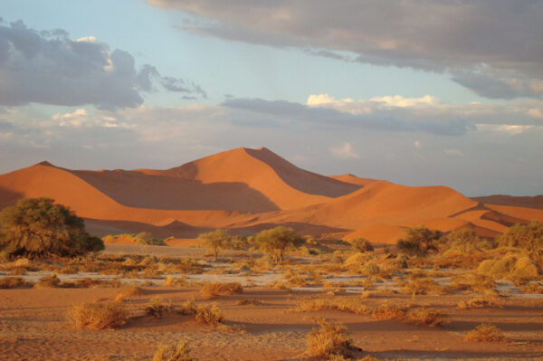 11-Tage-Erlebnisreise Namibia 2025 / 2026 | Tinta Tours Erlebnisreisen