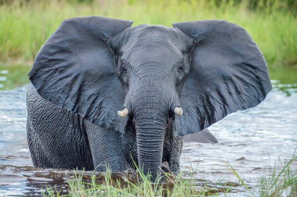 Tinta Tours Erlebnisreisen - Gruppenreise Botswana 2025 / 2026