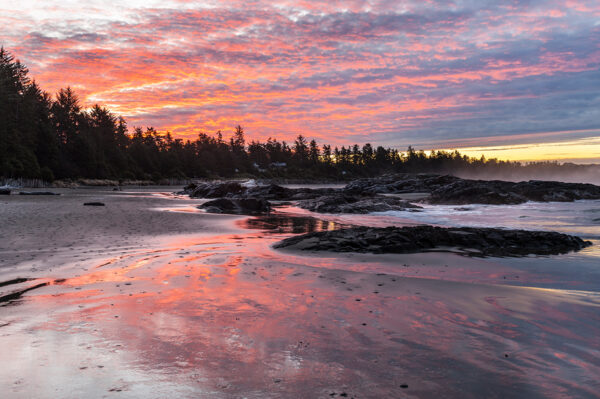 Naturwunder Westkanada Erlebnisreise - 2025 / 2026 | Tinta Tours Erlebnisreisen