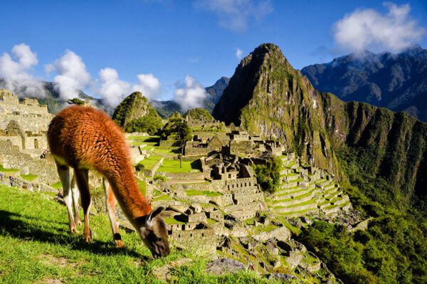 12-Tage-Erlebnisreise Peru 2025 / 2026 | Tinta Tours Erlebnisreisen
