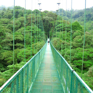 14-Tage-Erlebnisreise Costa Rica 2025/ 2026 | Erlebnisrundreisen.de
