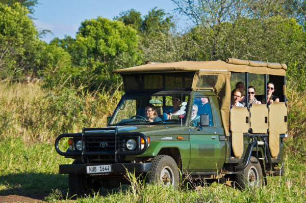 Südafrika - wilde Küste und grüne Berge Erlebnisreise - 2025 / 2026 | Tinta Tours Erlebnisreisen