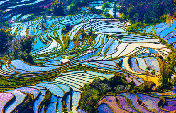 Gruppenreise China 2025 / 2026 - Tinta Tours Erlebnisreisen
