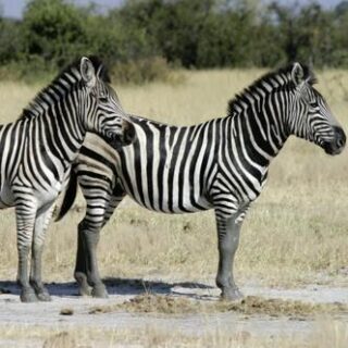 Traumreise durch das südliche Afrika: in 17 Tagen in der Mini-Gruppe vom Atlantik bis zu den Viktoriafällen