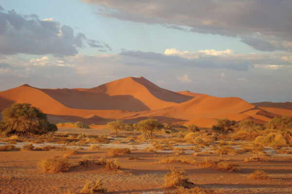 Namibia Studienreise 2026  | Erlebnisrundreisen.de