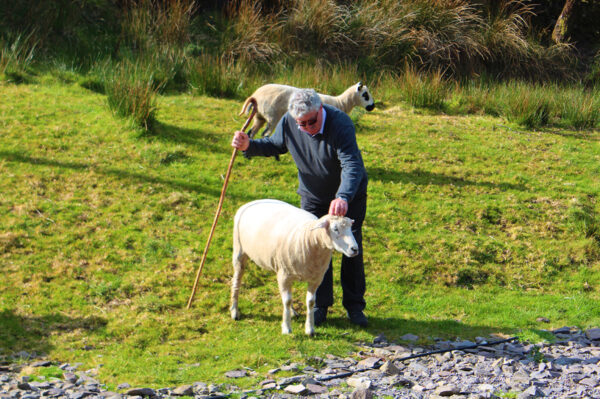 Studienreise Irland geruhsam entdecken 2025/2026 | Erlebnisrundreisen.de