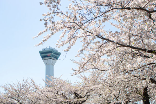 Japan Studienreise 2026  | Erlebnisrundreisen.de