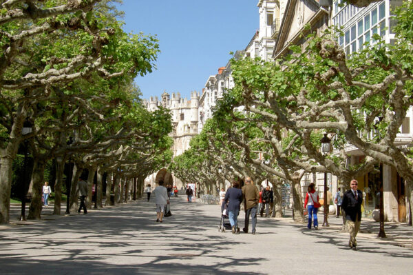 Kastilien und die unbekannte Extremadura Studienreise 2025 / 2026
