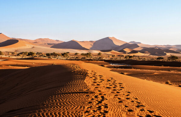 Namibia - Kaleidoskop der Kulturen Studienreise 2025 / 2026