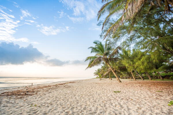 Gruppenreise Kenia: Impressionen 2026 | Erlebnisrundreisen.de