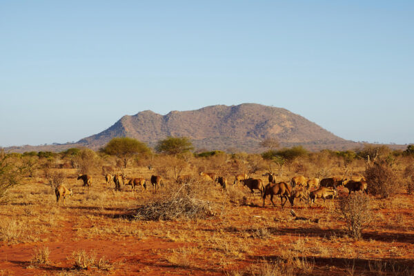 Gruppenreise Kenia | Erlebnisrundreisen.de